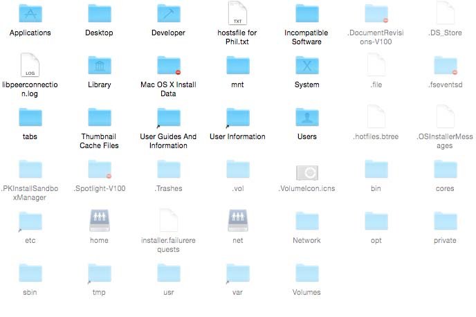 Hidden files and folders are now visible.