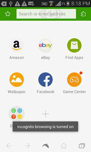 Incognito browsing is turned on.