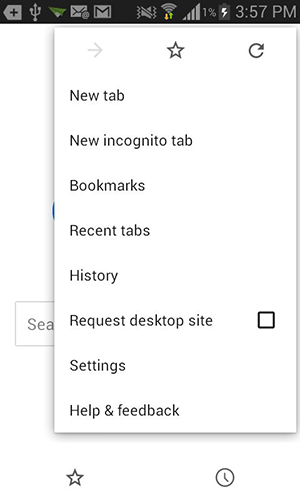 Tap on 'New incognito tab.'