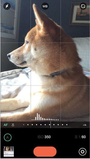 Manual - Custom exposure camera iOS app. Manual - Custom exposure camera iOS app.