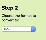 Choose the format to convert to.