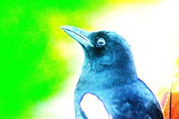 Final result - comic filter.