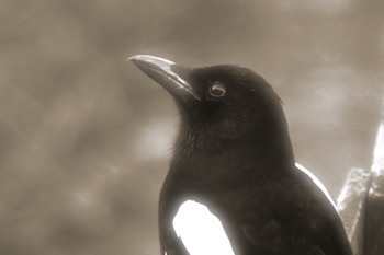 Final result - old filter.