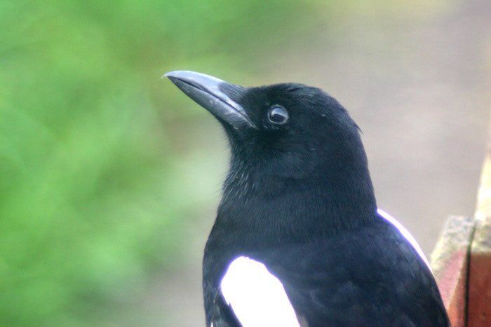 In one drag and click you can go from this...