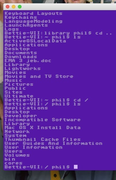 A fantastic new C64 flavoured Terminal.