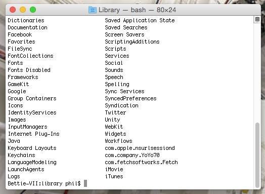 Terminal default look in Mac OS X.