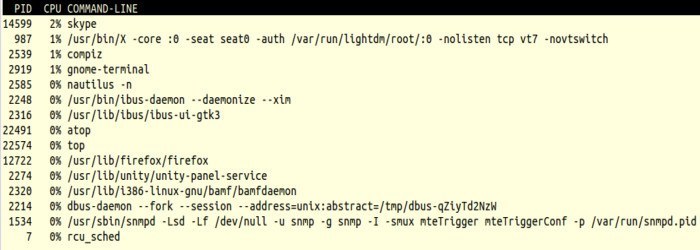 Process level information.