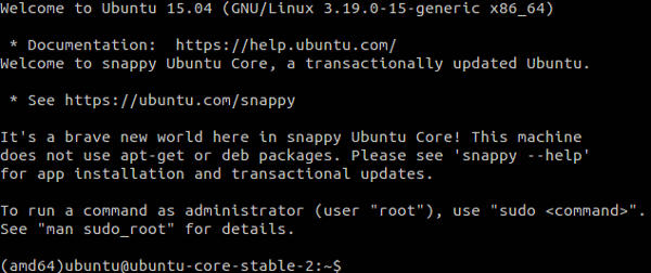 Log into Ubuntu Snappy Core with vagrant ssh.