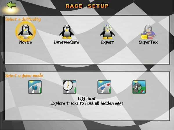In single-player mode, you can play a normal race.