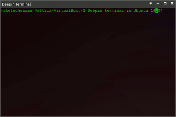 deepinterminal-installed