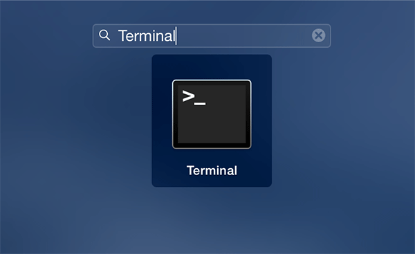 dnsterminal-terminal dnsterminal-terminal