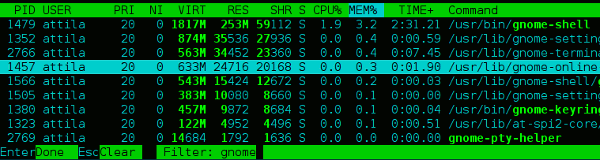 htop-filter