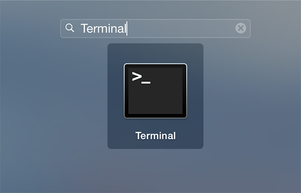 saverasbg-terminal saverasbg-terminal
