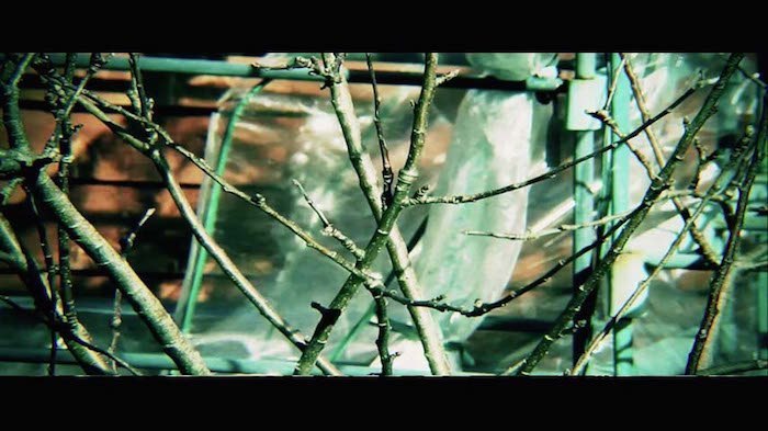 aspect-ratios-16x9-cinematic-bad aspect-ratios-16x9-cinematic-bad