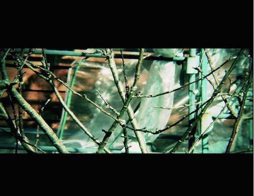 aspect-ratios-double-letterbox aspect-ratios-double-letterbox