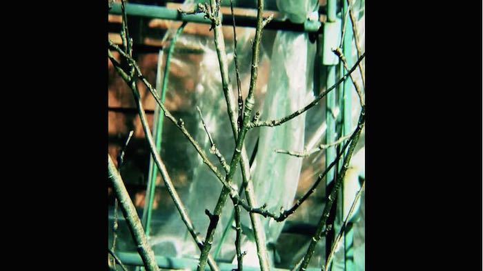 aspect-ratios-double-pillarbox aspect-ratios-double-pillarbox