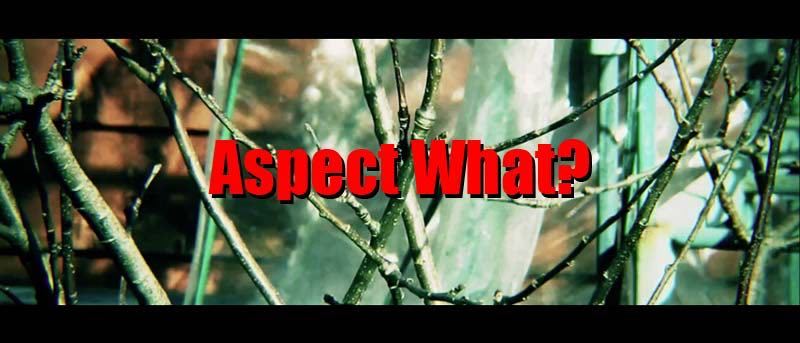 Understanding Video Aspect Ratios