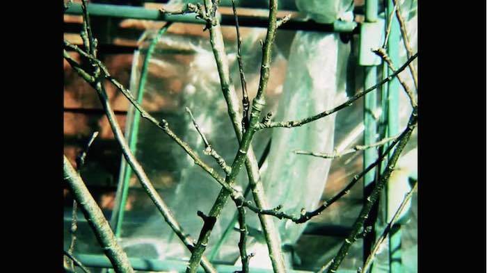 aspect-ratios-pillarbox aspect-ratios-pillarbox