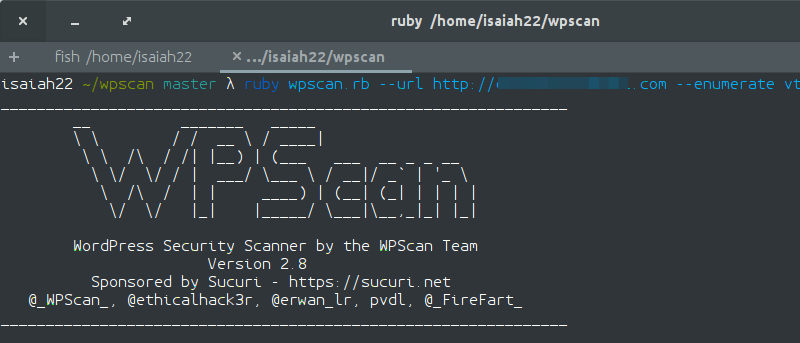 Using WpScan to Audit WordPress Security From the Command Line