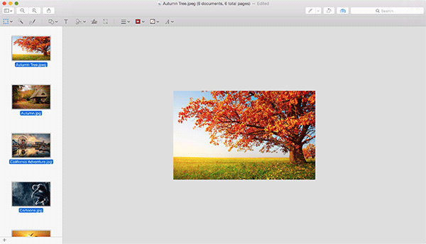 multipleresize-results