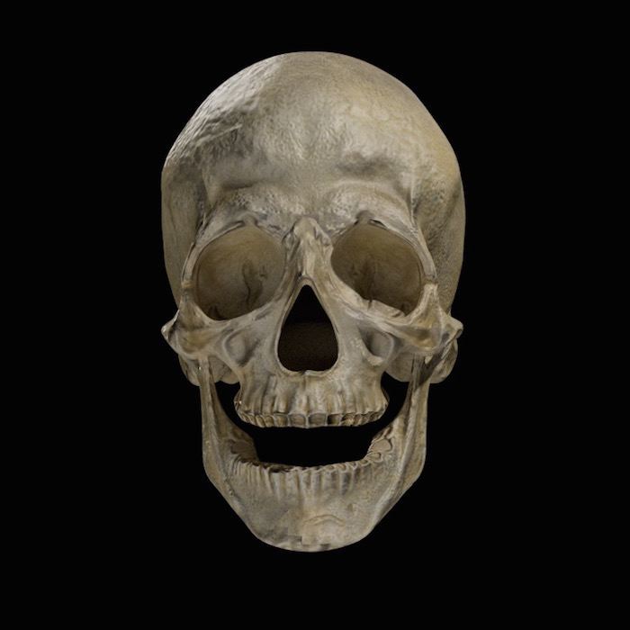 blender-lighting-mastery-skull-all