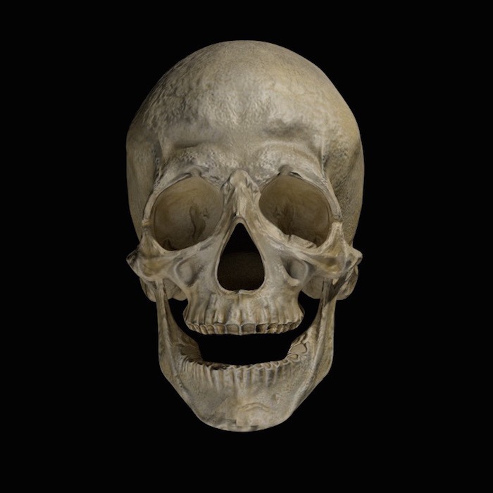 blender-lighting-mastery-skull-no-rim