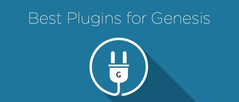 12 Best Plugins for Genesis Theme Users