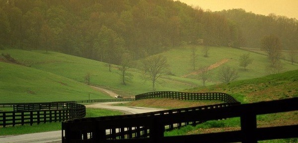 faxmachine-countryside faxmachine-countryside