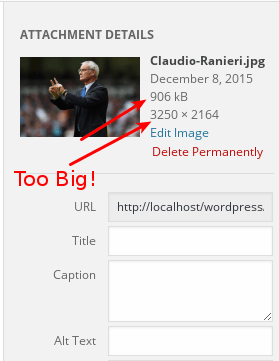wp-image-optimization-example2