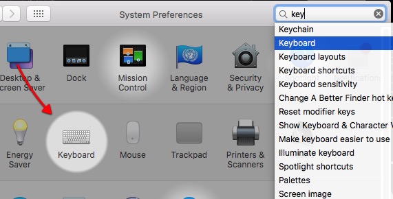 Liquid | Infor -mte- System Preferences