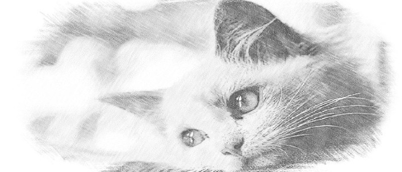 3 Free Online Tools to Turn Your Photos Into Sketches