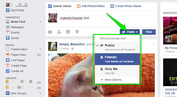 Facebook-Status-Public-or-Friends