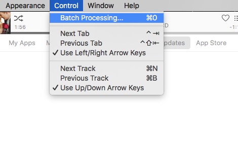 Singer Song Reader -mte- Batch Processing