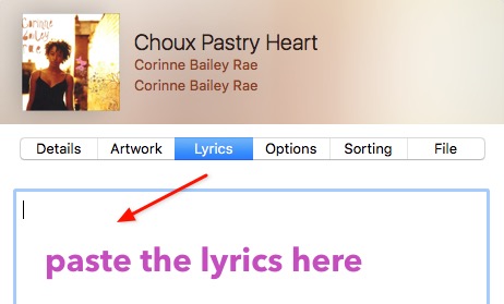 Singer Song Reader -mte- paste lyrics