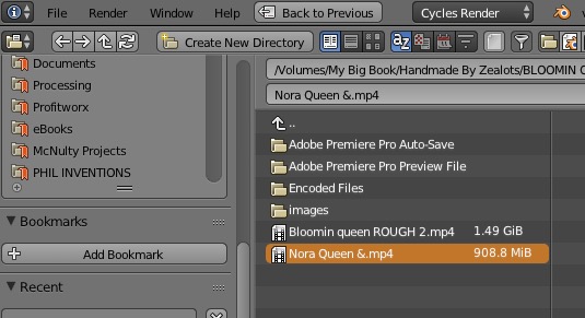 blender-virtual-select-video blender-virtual-select-video