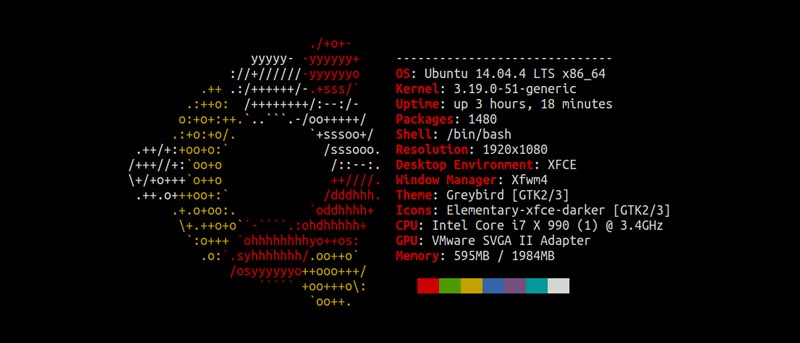 How to Display System Information with Neofetch on Linux