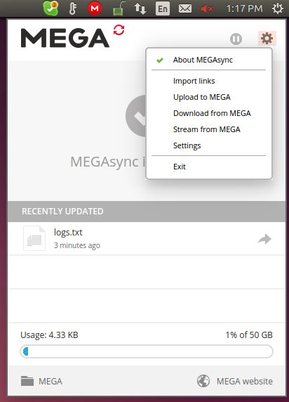 megasync-options megasync-options