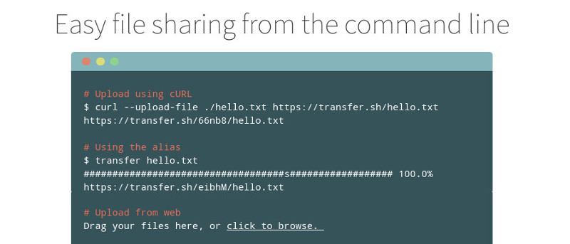 Transferring Files in Terminal on Linux with Transfer.sh