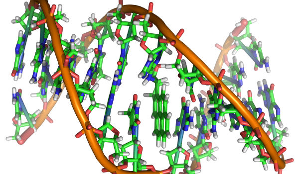 moleculehardware-dna