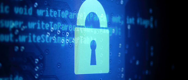 No One is Exempt: 6 Important Privacy Habits Everyone Should Practice