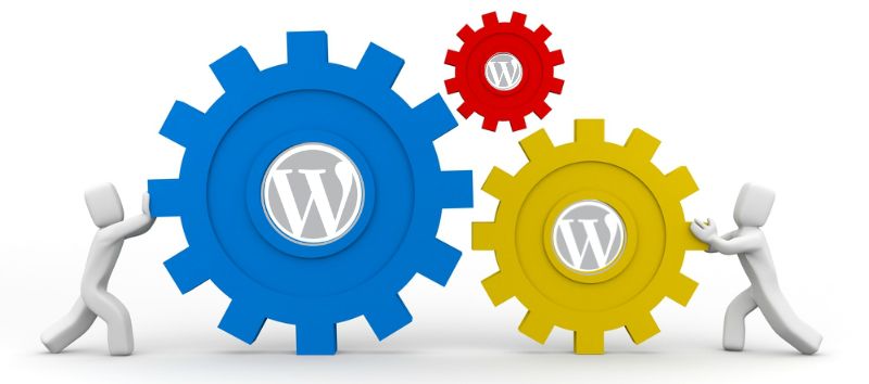 avoid-user-errors-wordpress-themes-1