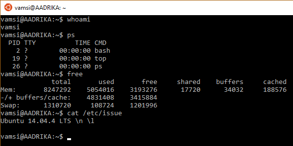 Windows 10 Anniversary Update bash on windows10