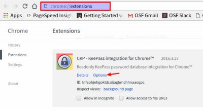 keepass-chrome-ckp-options-1 keepass-chrome-ckp-options-1