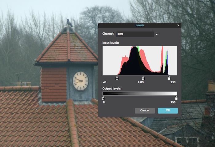 photo-editing-basics-levels-adjusted