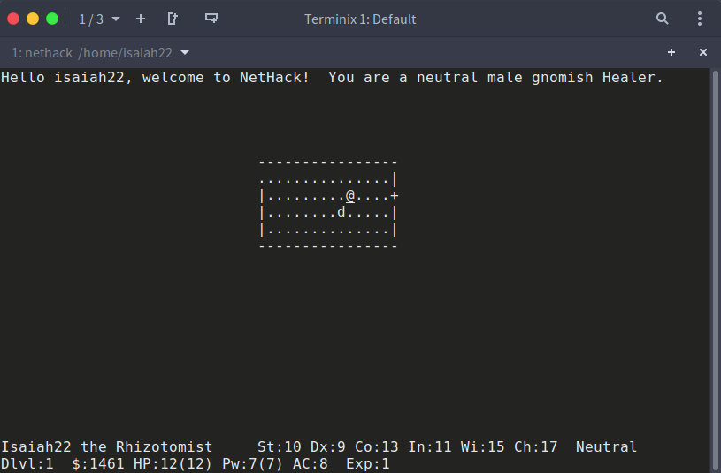 terminal-games-nethack