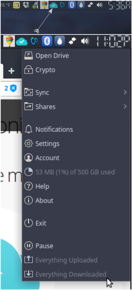 pcloud-drive-panel-icon