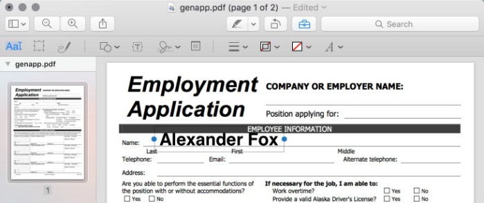 preview-form-filling-2
