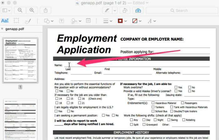 preview-form-filling