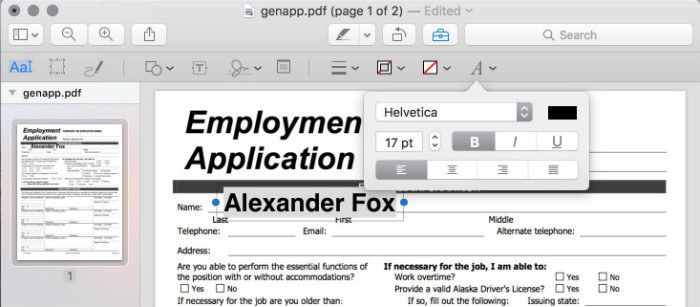 preview-pdf-form-filling-formatting