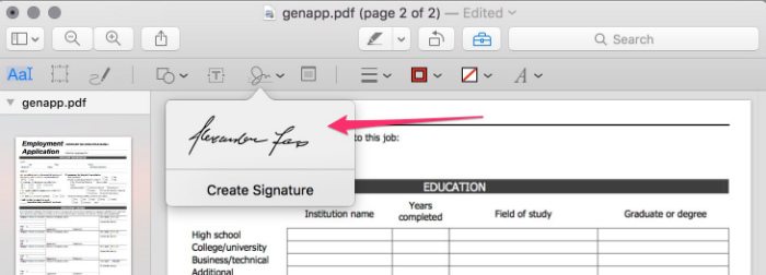 preview-signature-insert